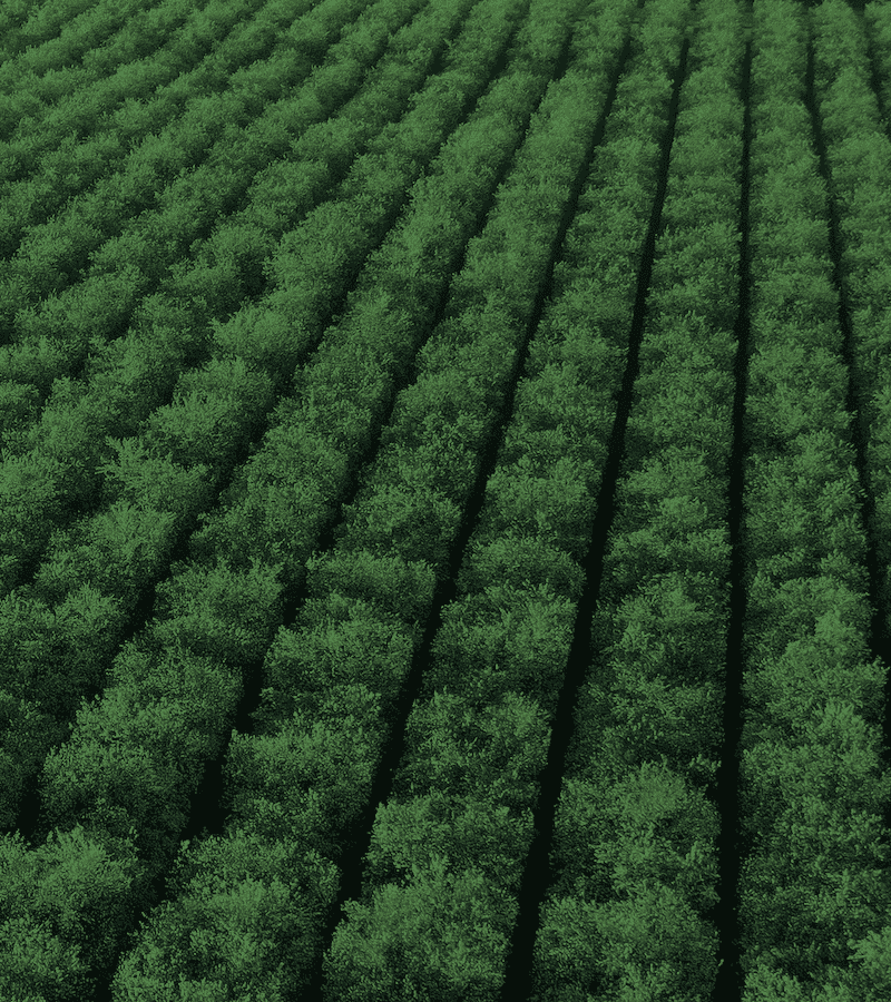 Overhead shot of farmland